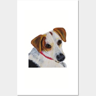 Cletus the Treeing Walker Coonhound Mix Dog Posters and Art